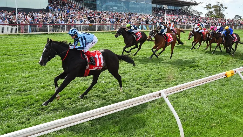 Clayton Melbourne Cup Sale 12 months + 2 month FREE